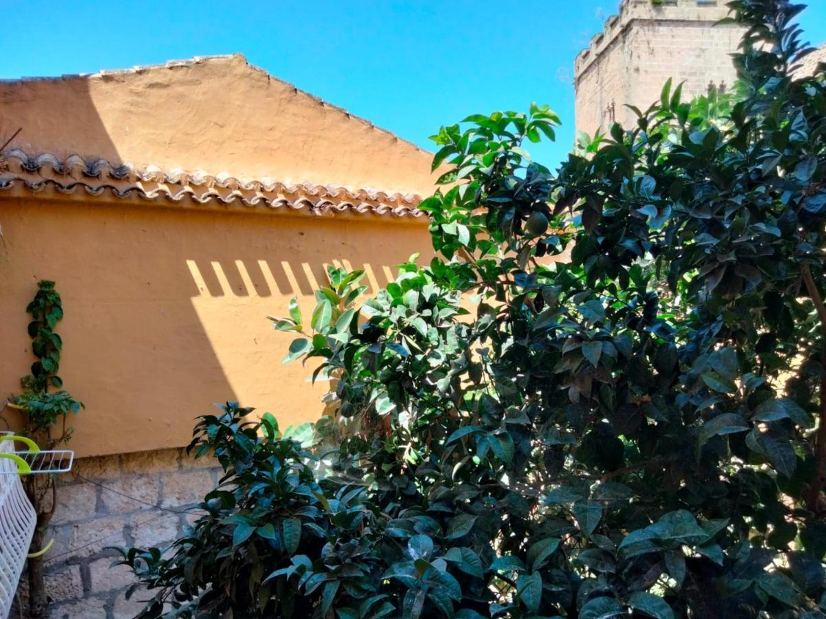 Estudio Castillo Dénia Eksteriør billede
